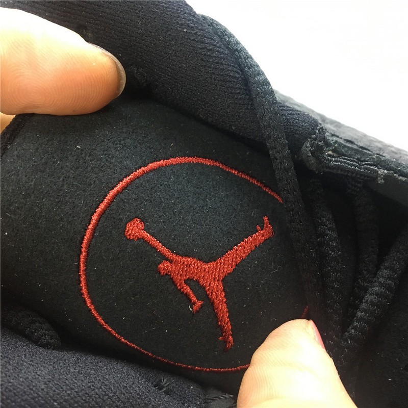 Air Jordan 13