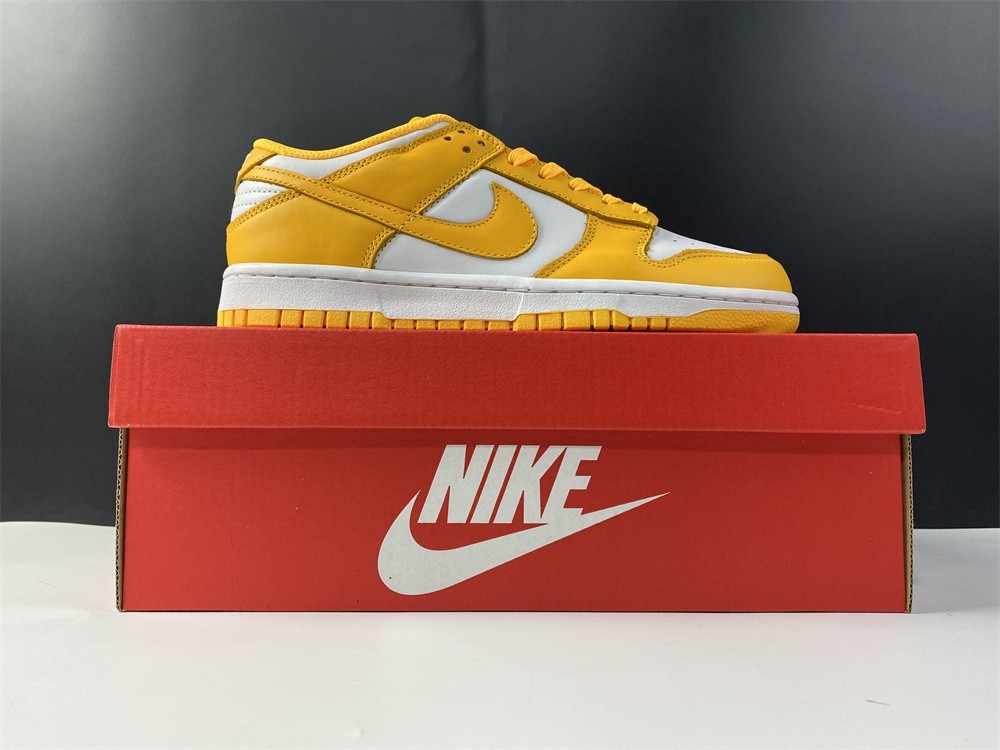 NIKE DUNK LOW DD1503-800