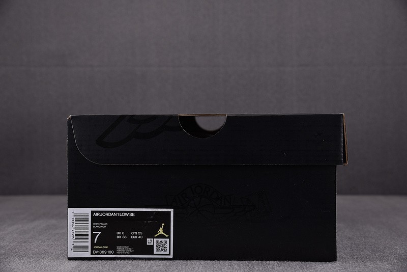 Air Jordan 1 Low SE Concord DV1309-100
