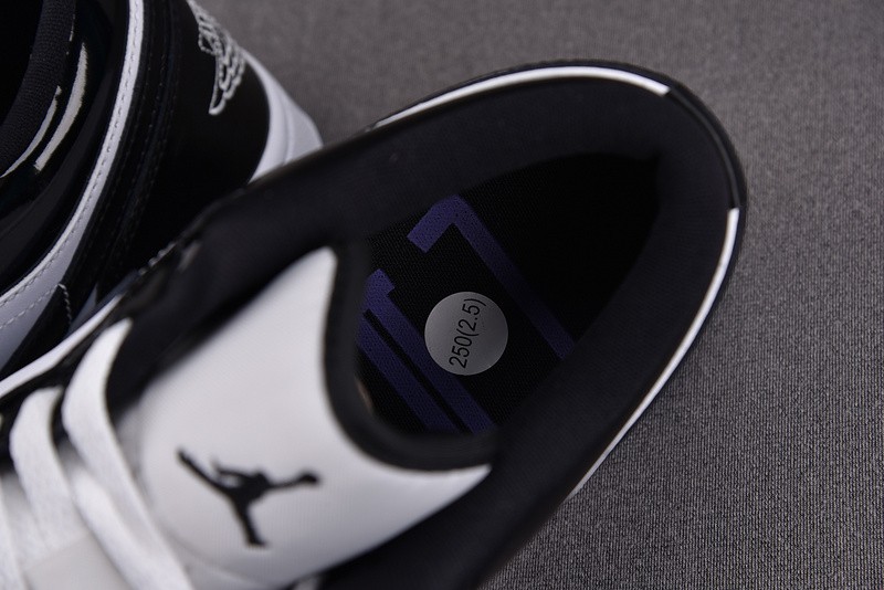 Air Jordan 1 Low SE Concord DV1309-100