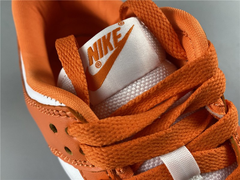 Nike dunk low sb syracuse CU1726-101