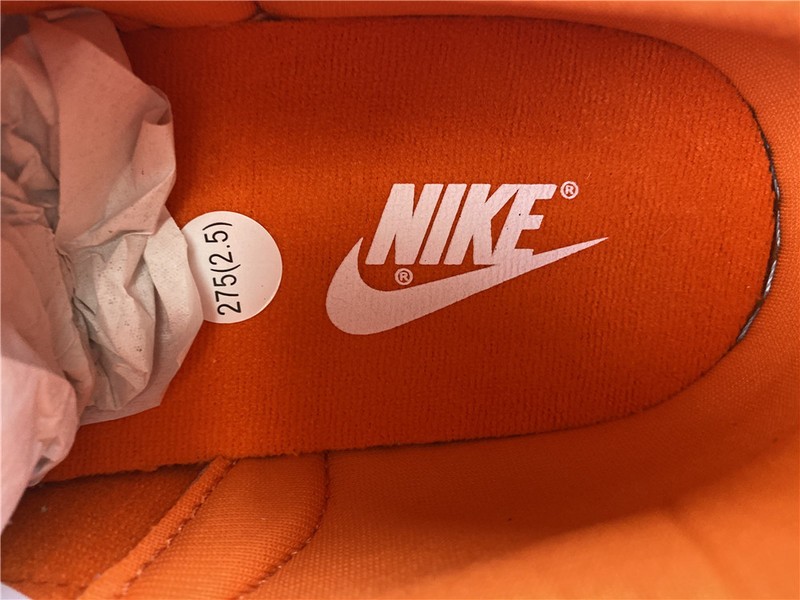 Nike dunk low sb syracuse CU1726-101