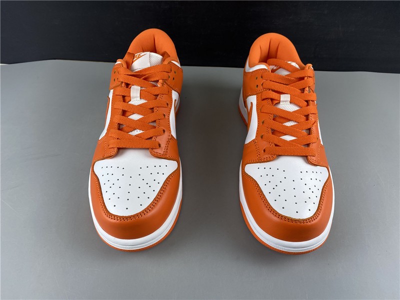 Nike dunk low sb syracuse CU1726-101
