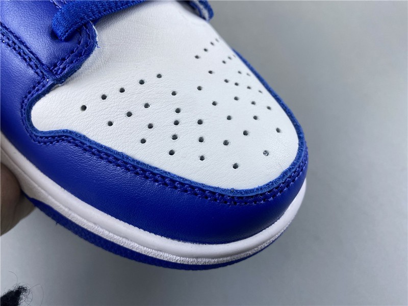 Nike dunk low sb kentucky CU1726-100