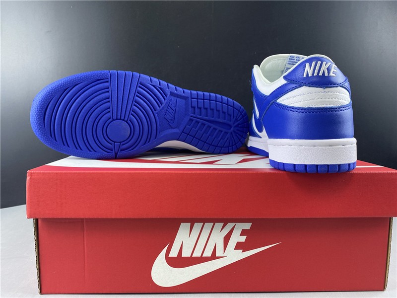 Nike dunk low sb kentucky CU1726-100