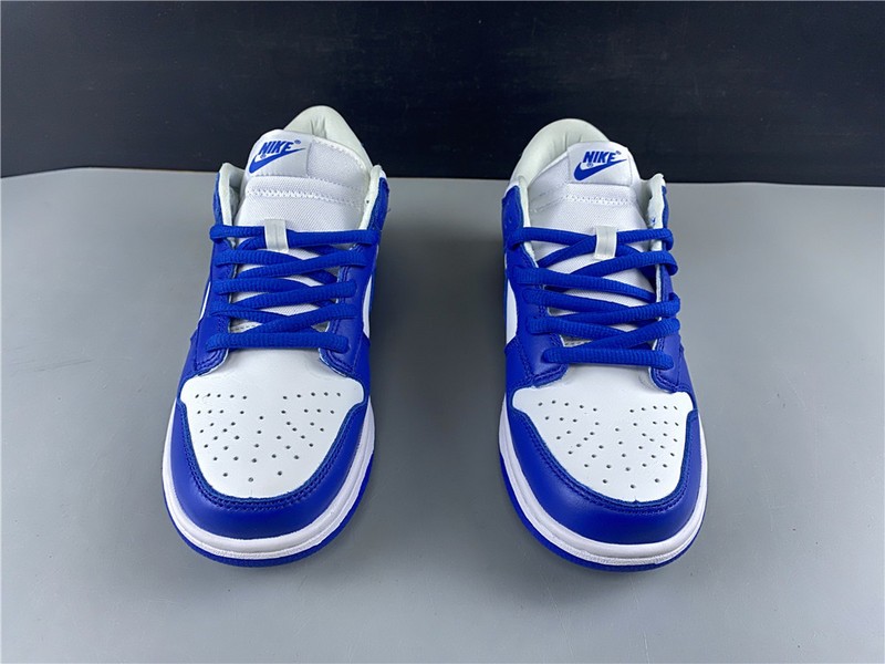 Nike dunk low sb kentucky CU1726-100