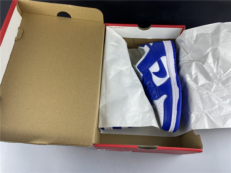 Nike dunk low sb kentucky CU1726-100