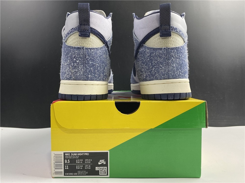 NIKE SB Dunk High CW3092-400