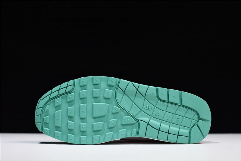 Nike Air Max 1 "Watermelon/South Beach" AH8145-106