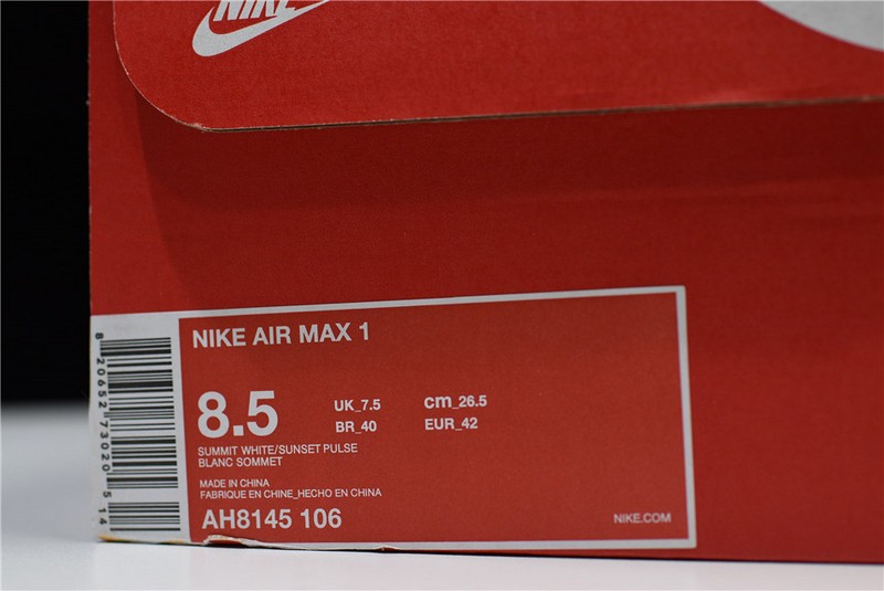 Nike Air Max 1 "Watermelon/South Beach" AH8145-106