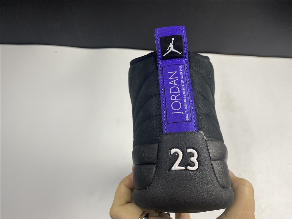 Air Jordan 12 “Dark Concord” CT8013-005