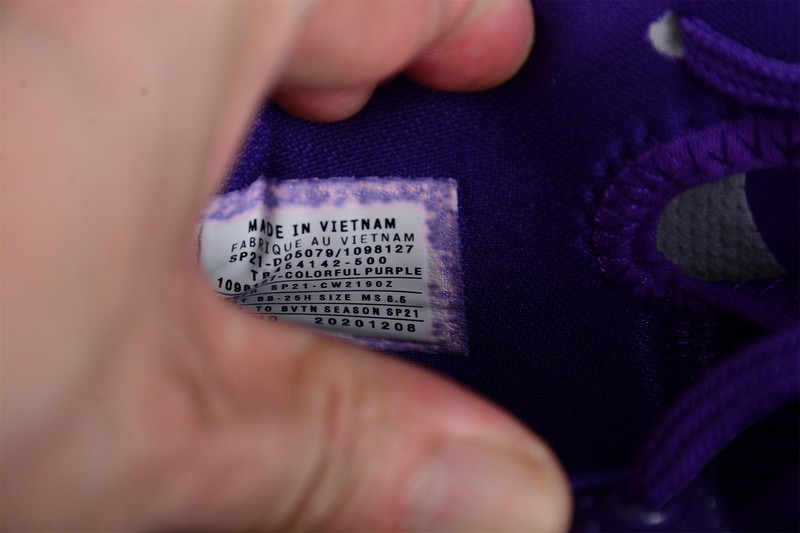 Nike Zoom Kobe 6 TB Purple 454142-500