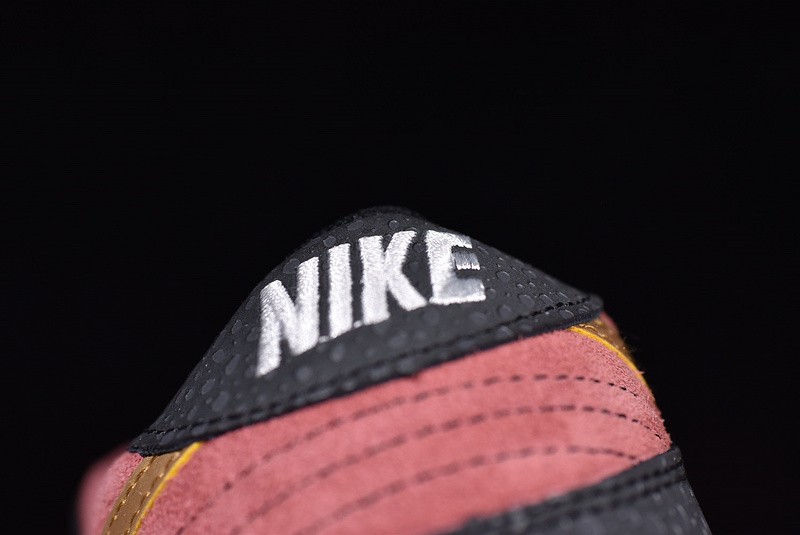 Nike Dunk SB Low Walk of Fame 504750-076