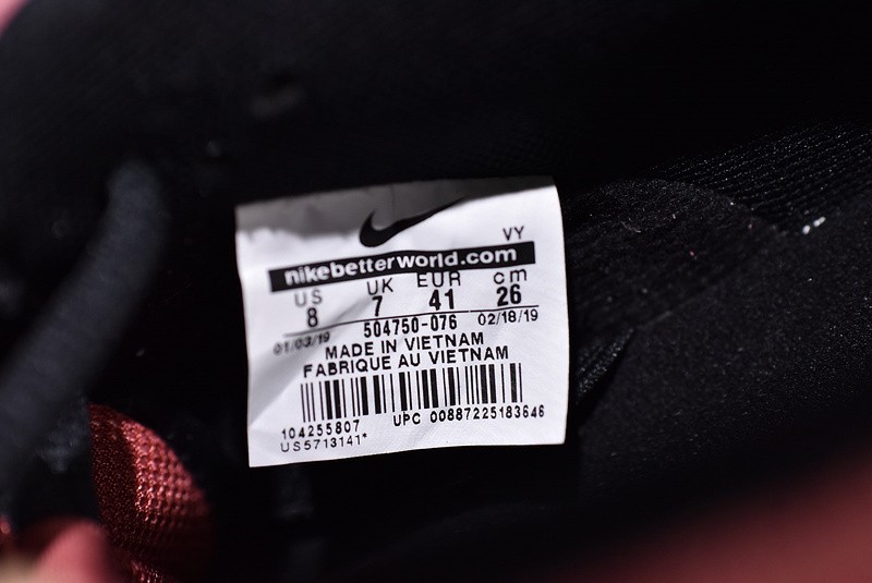 Nike Dunk SB Low Walk of Fame 504750-076