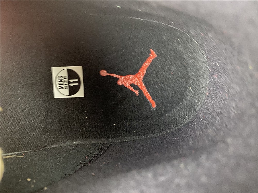 Air Jordan 13 “Reverse Bred" DJ5982-602