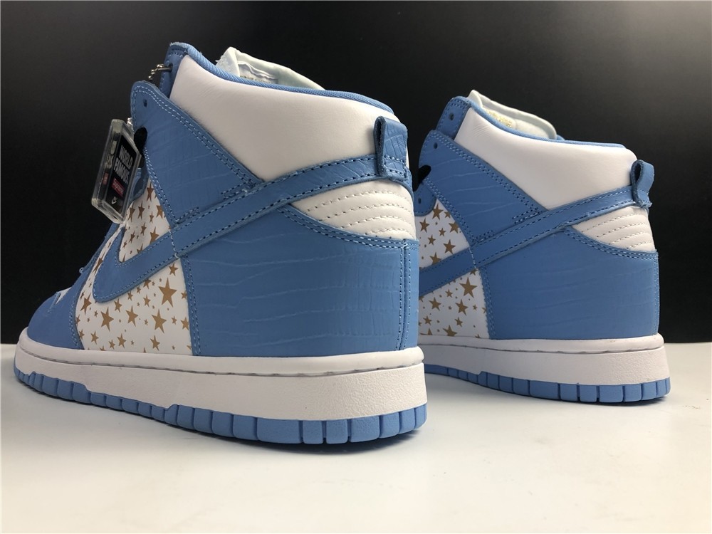 Nike SB DUNK High PRO 307385-141