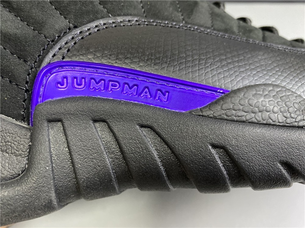 Air Jordan 12 “Dark Concord” CT8013-005