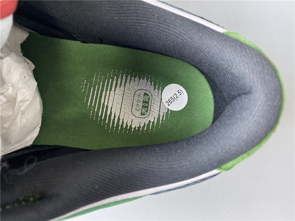 Nike Dunk Low Pro SB heineken 304292-302