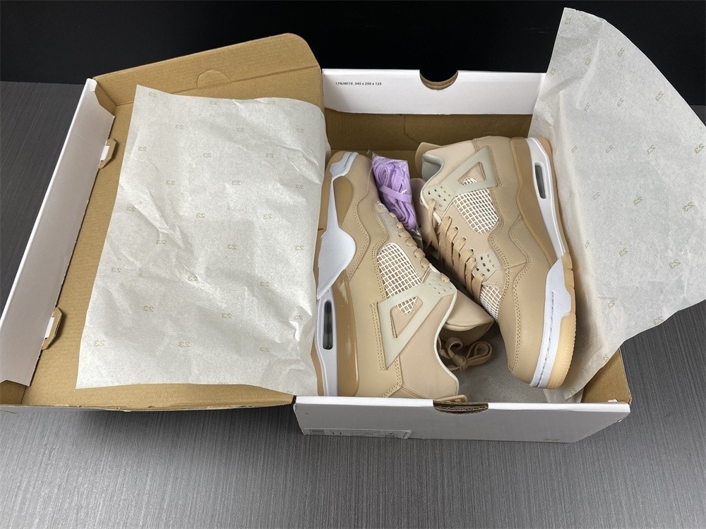 Air Jordan 4 WMNS “Shimmer” DJ0675-200