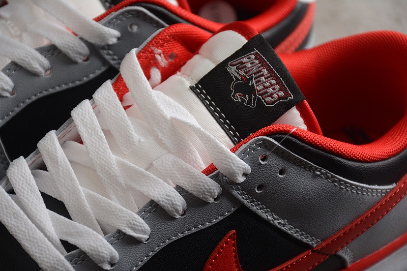 Nike Dunk Low CAU DR6189-001