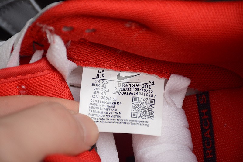 Nike Dunk Low CAU DR6189-001