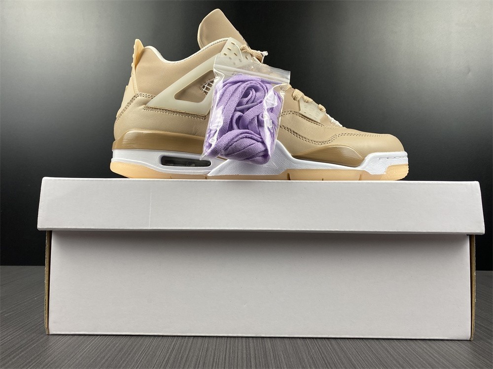 Air Jordan 4 WMNS “Shimmer” DJ0675-200