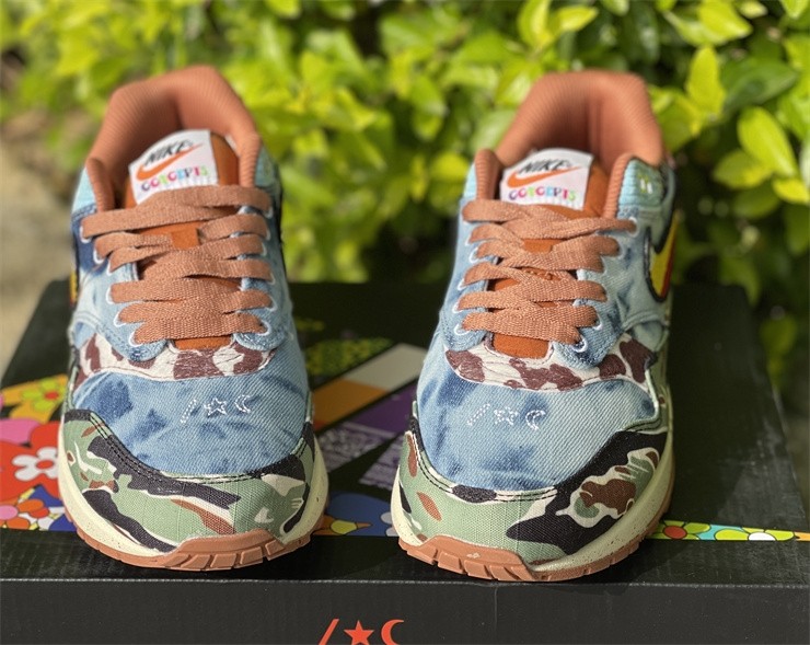 Nike Air Max 1 SP Concepts Heavy - DN1803-900