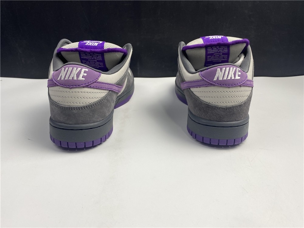 NIKE DUNK LOW PRO SB 304292-051