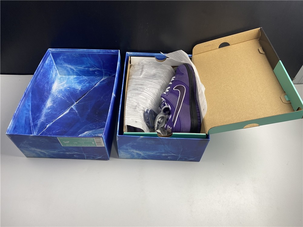 Concepts x NK SB Dunk Low "Purple Lobster" BV1310-555