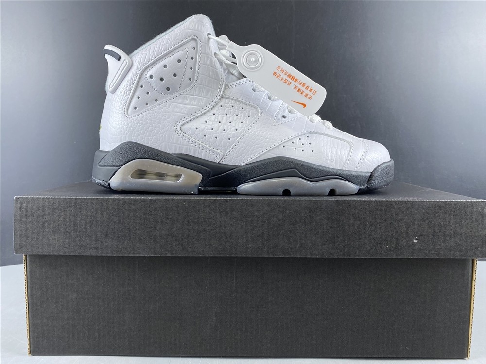 Jordan 6 Retro Alligator (GS) - 384665-110