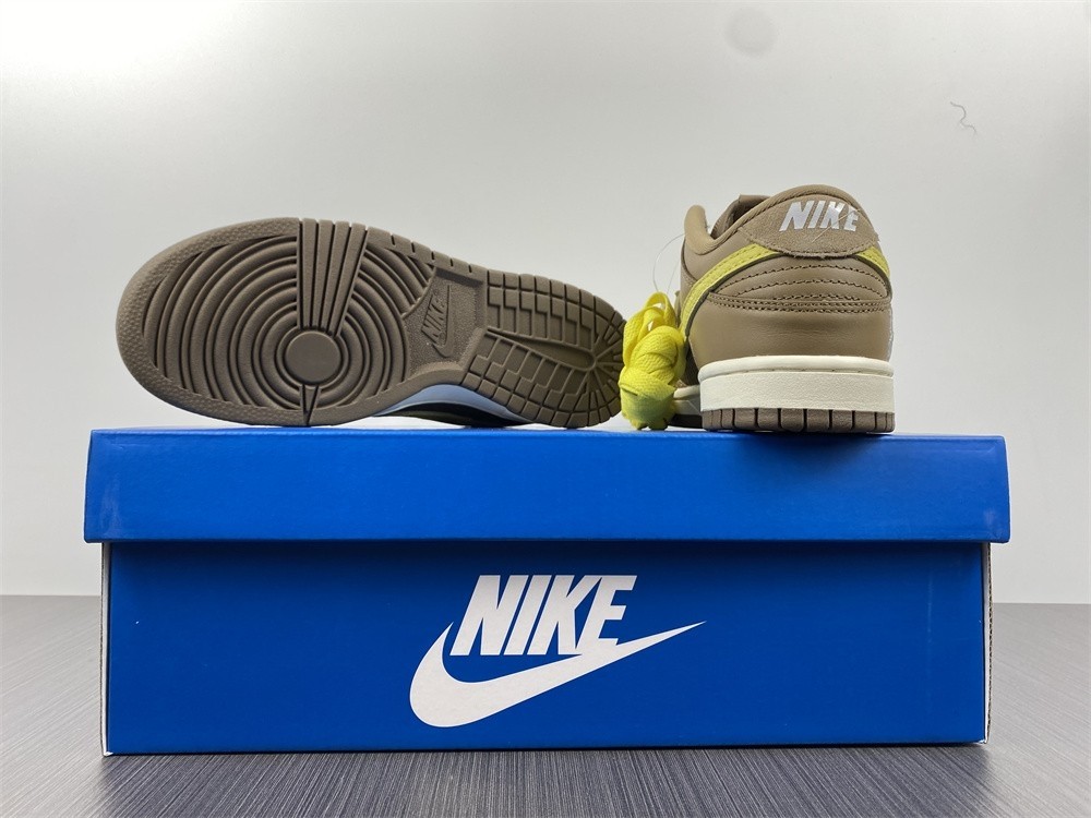 Undefeated x Nike Dunk Low DH3061-200