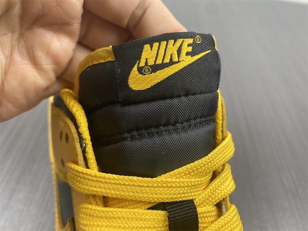 Nike Dunk Low Iowa Black Goldenrod White DD1391-004
