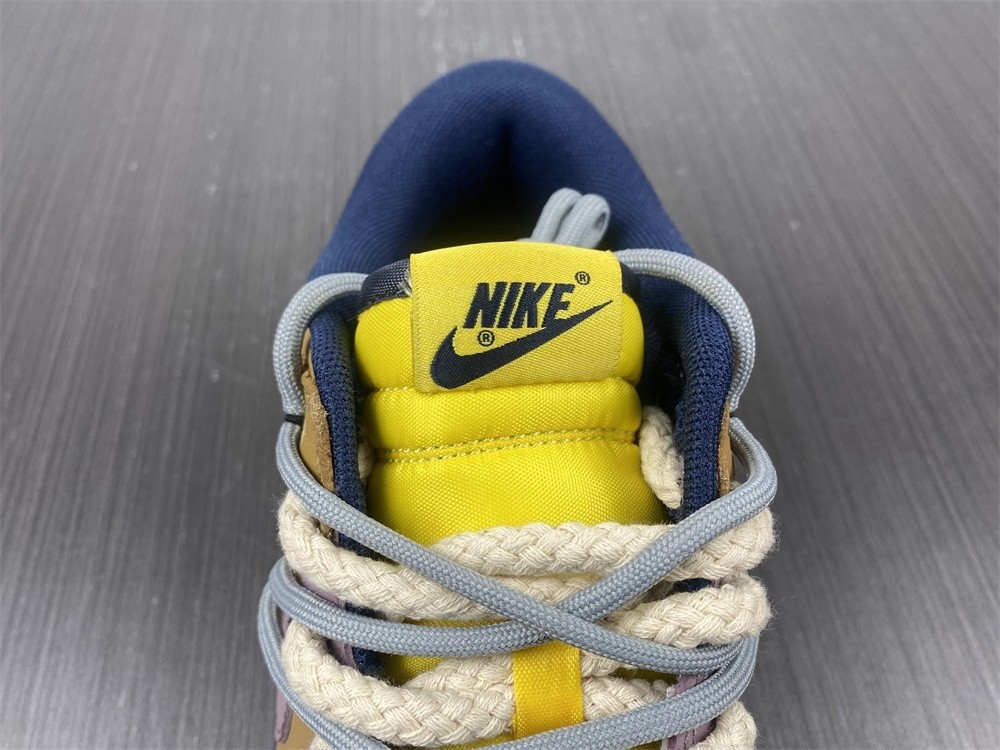 Nike Dunk Low  DD1391-700