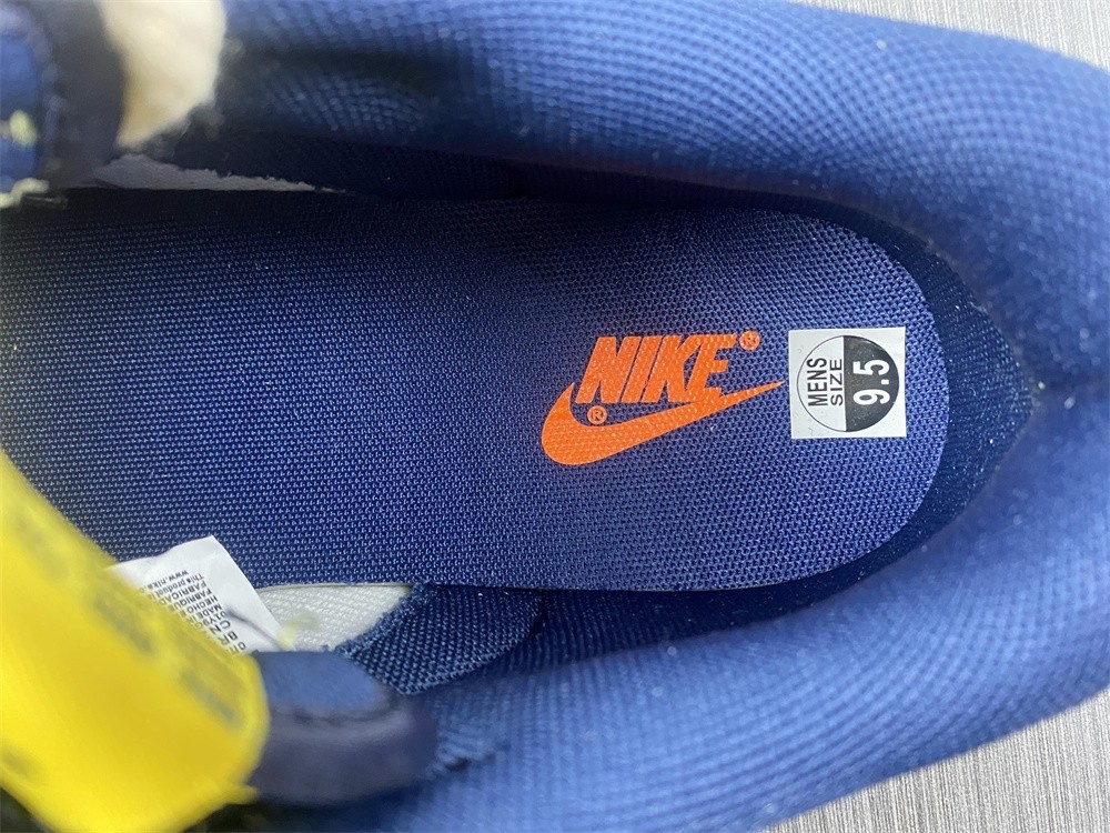 Nike Dunk Low  DD1391-700
