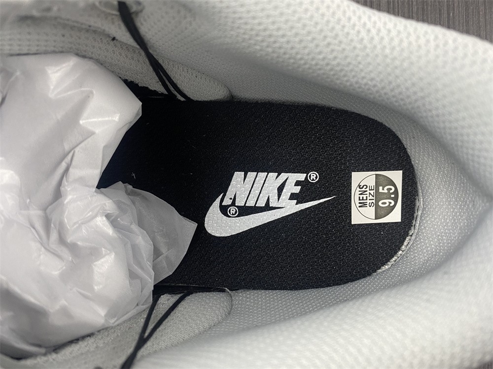 Nike Dunk Low RETRO VIDE DH7913-001