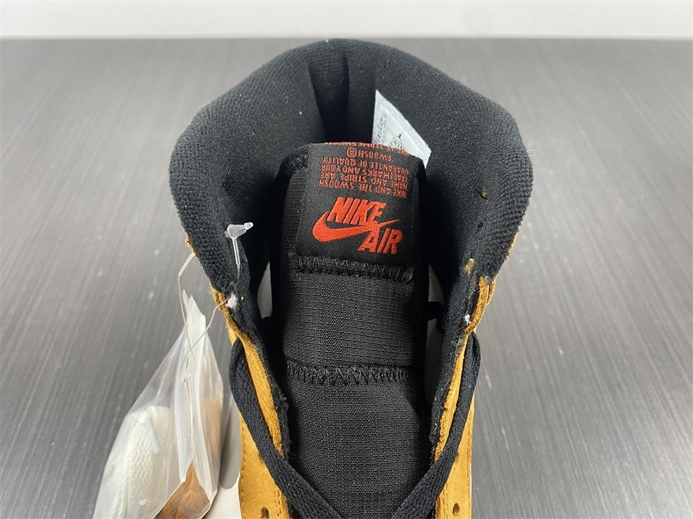 Air Jordan 1 Element Gore-Tex Light Curry DB2889-700