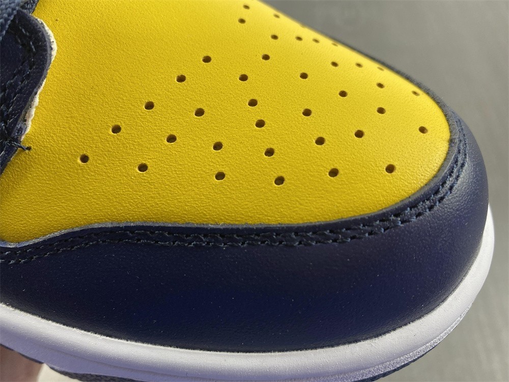 Nike Dunk Low Michigan DD1391-700