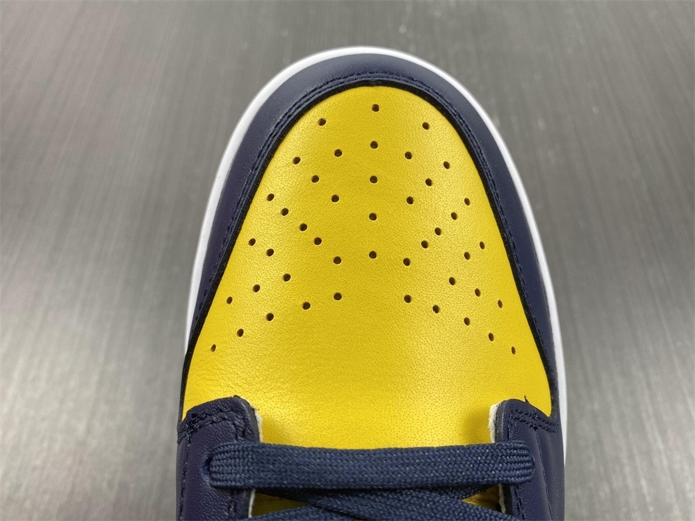 Nike Dunk Low Michigan DD1391-700