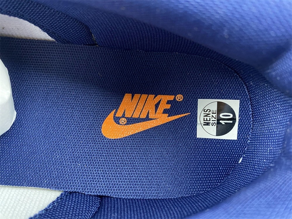 Nike Dunk Low Michigan DD1391-700