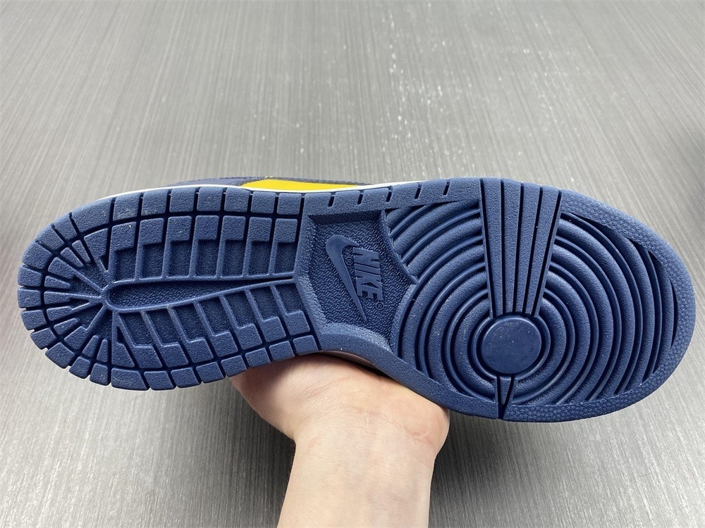 Nike Dunk Low Michigan DD1391-700