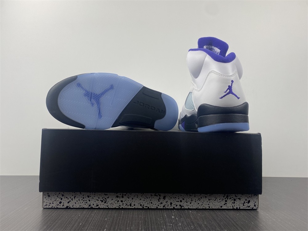 Air Jordan 5 "Concord" 2022 AJ5-TBA