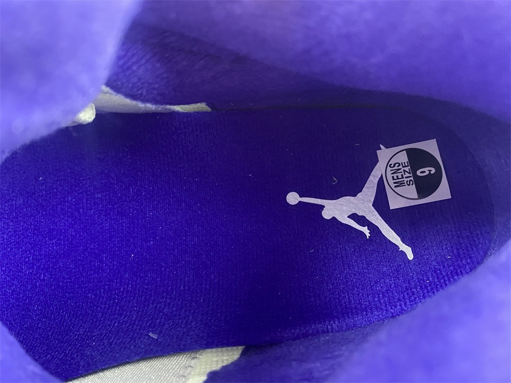 Air Jordan 5 "Concord" 2022 AJ5-TBA