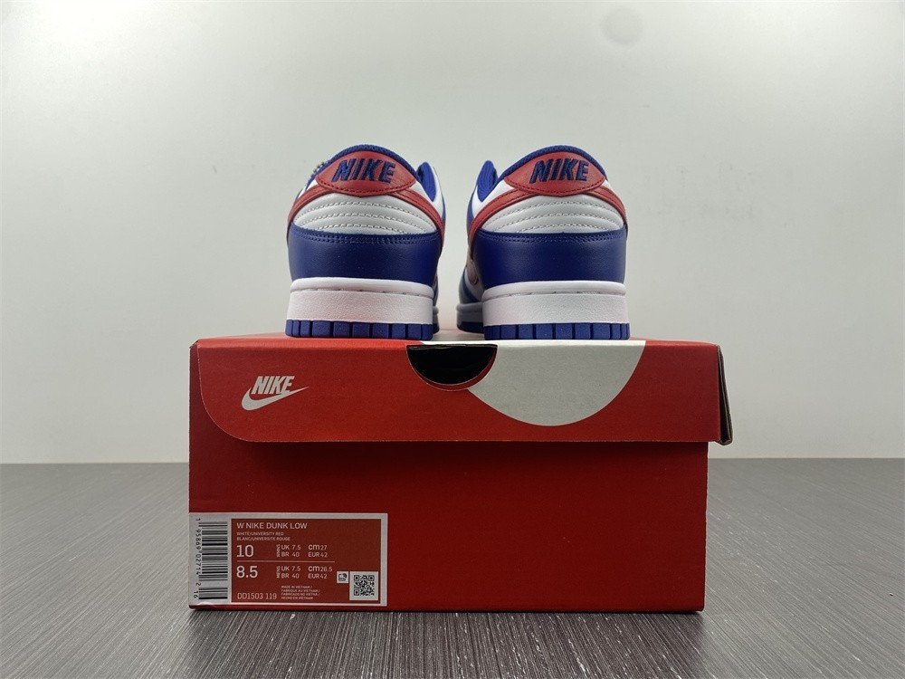 Nike Dunk Low USA (W) - DD1503-119