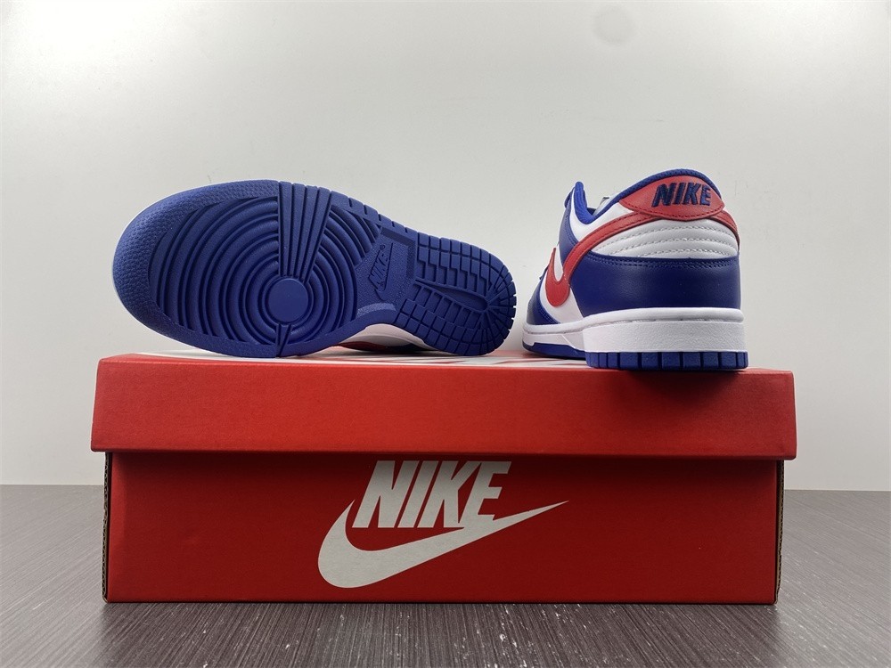 Nike Dunk Low USA (W) - DD1503-119