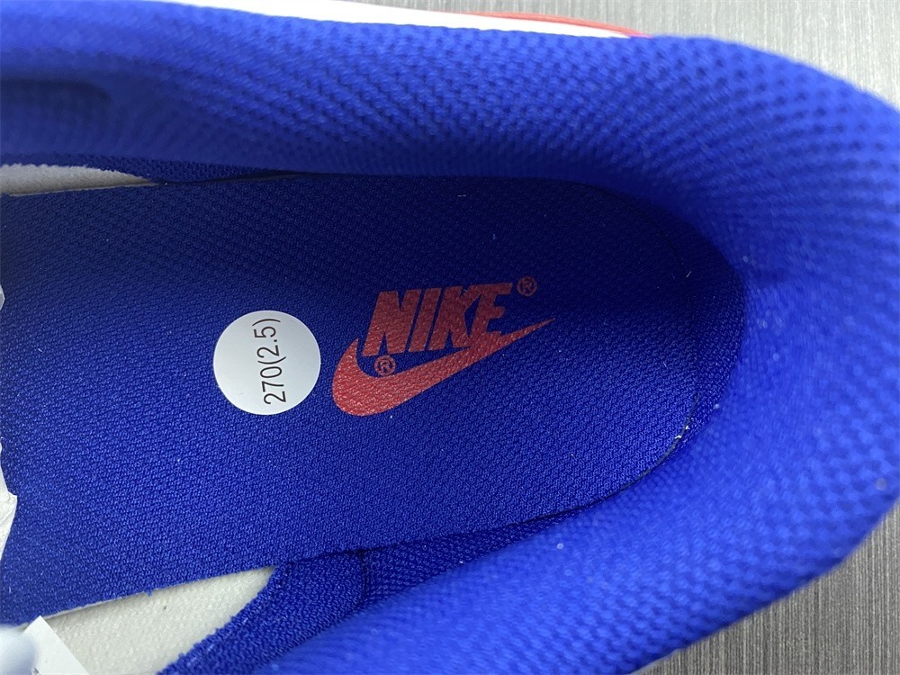 Nike Dunk Low USA (W) - DD1503-119