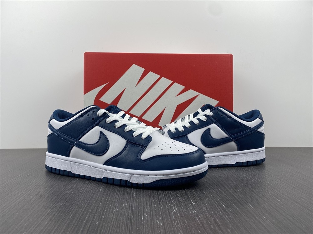 Nike Dunk Low Valerian Blue - DD1391-400