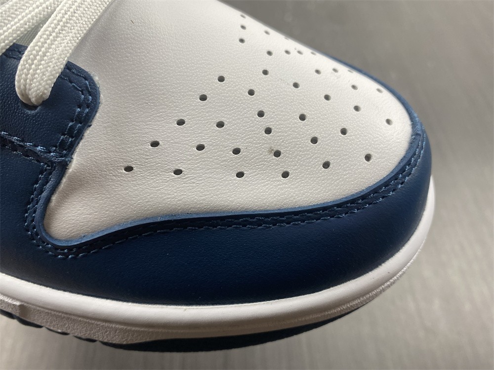 Nike Dunk Low Valerian Blue - DD1391-400