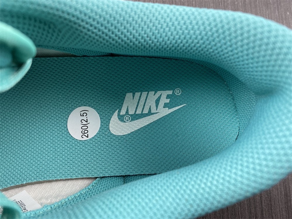 Nike Dunk Low White Turquoise (W) - DV2190-100