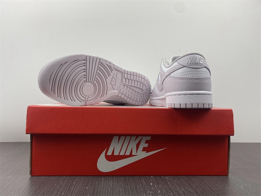 Nike Dunk Low Venice (W) - DD1503-116