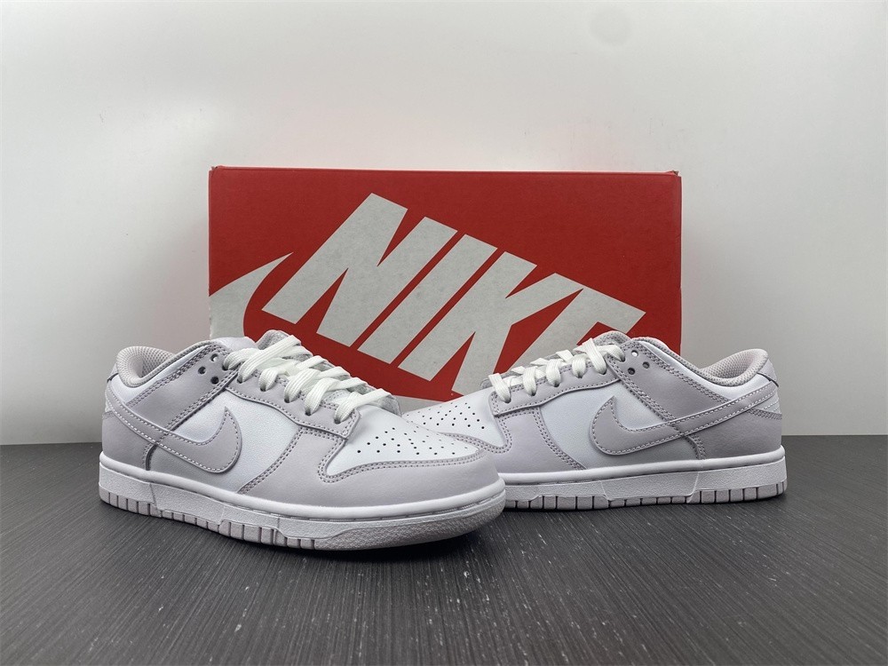 Nike Dunk Low Venice (W) - DD1503-116